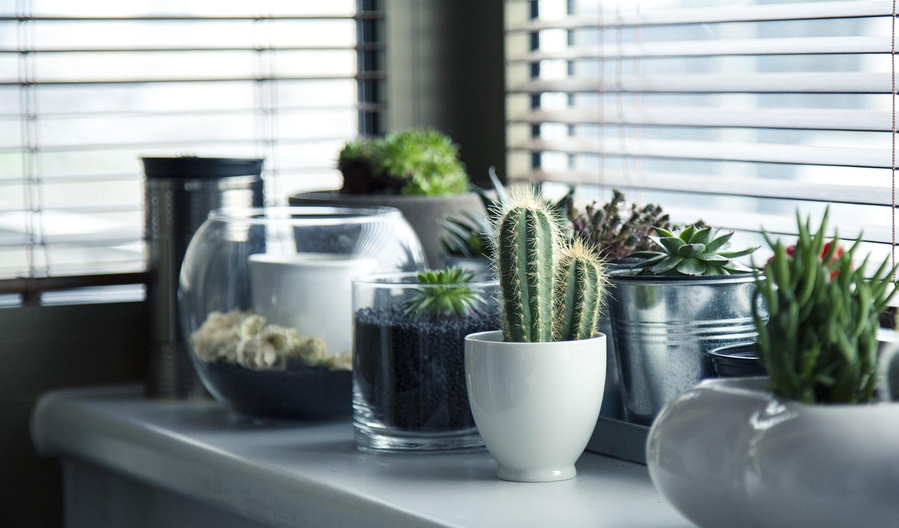 Slaapkamer met plafondhoge kamerplanten en licht.