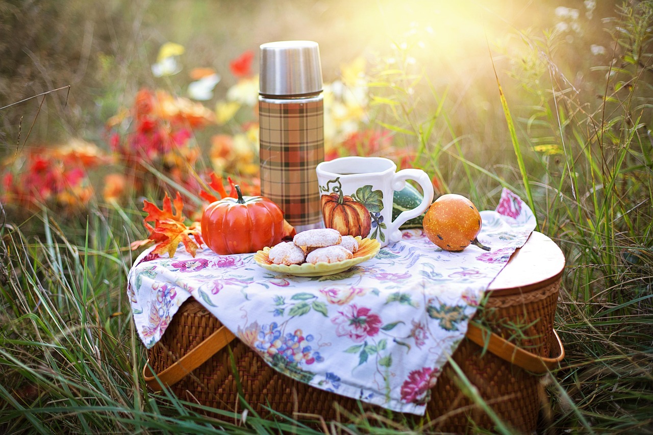 Picknickdeken vol snacks en boeken.