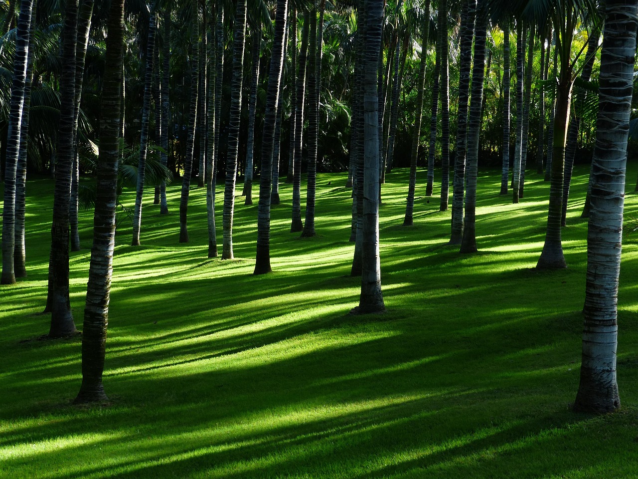 Cortenstalen tuinpad tussen minimalistische beplanting. Cortenstalen tuinpad tussen minimalistische beplanting.